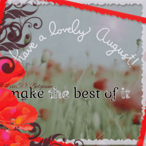 A Greeting Card Says Have A Lovely August Make The Best Of It GIF