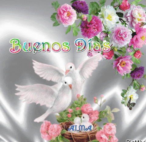 A Greeting Card That Says Buenos Dias With Two Birds And Flowers GIF