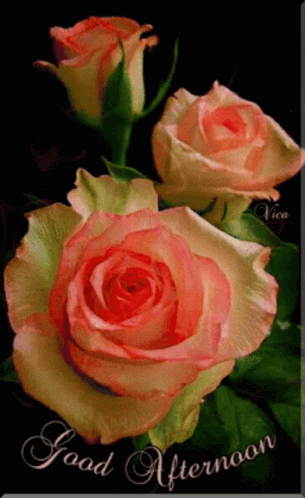 A Greeting Card That Says Good Afternoon With Roses GIF