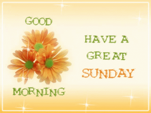 A Greeting Card That Says Good Morning And Has Flowers On It GIF