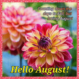A Greeting Card That Says Hello August With A Flower In The Foreground GIF