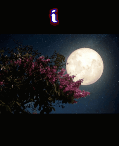 A Greeting Card That Says I Love You My Moon Lolipet GIF