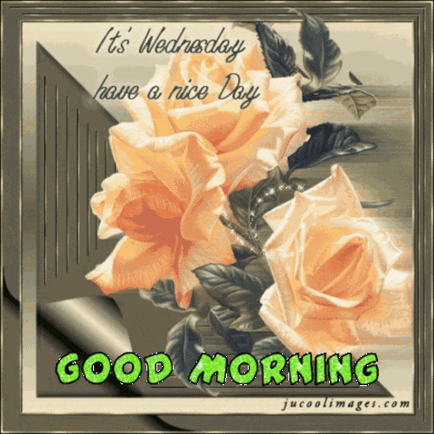 A Greeting Card That Says It 'S Wednesday Have A Nice Day And Good Morning GIF
