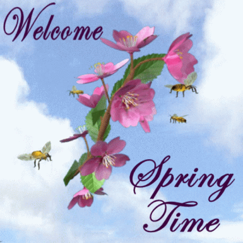 A Greeting Card That Says Welcome Spring Time GIF