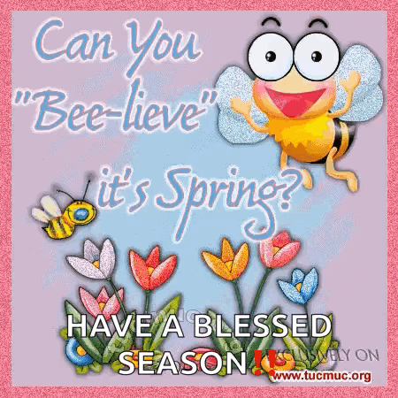 A Greeting Card With A Bee And Flowers That Says Can You Bee-Lieve It 'S Spring GIF