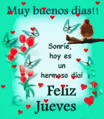 A Greeting Card With A Bird Sitting On A Branch With Flowers And Butterflies . GIF
