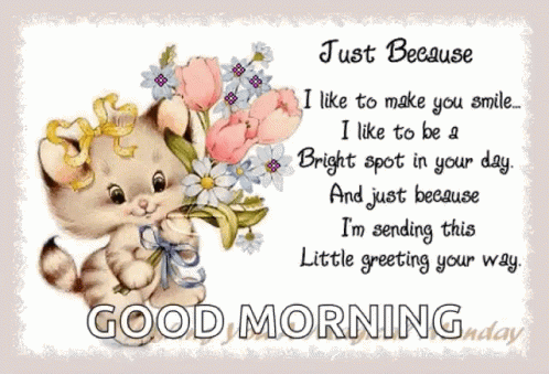 A Greeting Card With A Cat Holding Flowers And The Words Just Because GIF