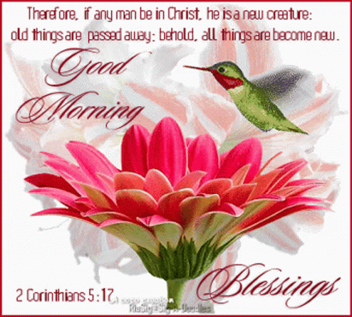 A Greeting Card With A Flower And A Hummingbird Says Good Morning And Blessings GIF