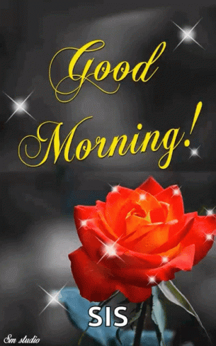 A Greeting Card With A Red Rose And The Words Good Morning GIF