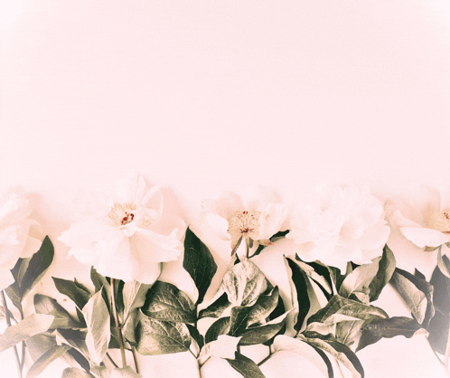 A Greeting Card With Flowers And The Words 8-Mi Mapt GIF