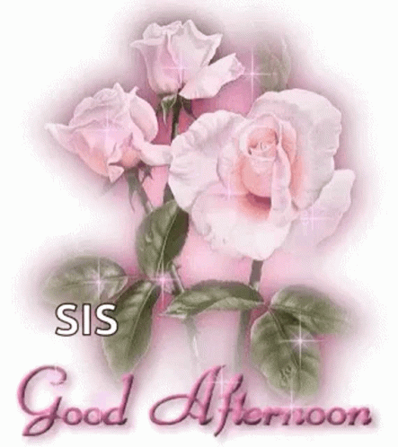 A Greeting Card With Pink Roses And The Words `` Good Afternoon '' GIF