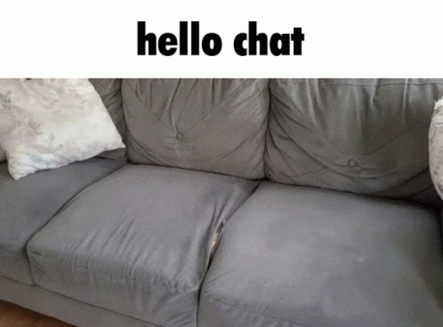 A Grey Couch With White Pillows And The Words Hello Chat On Top GIF