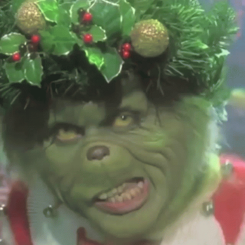 a grinch wearing a christmas wreath on his head
