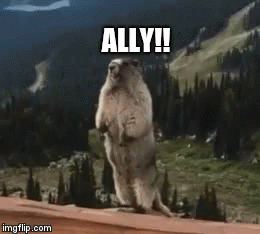 A Ground Squirrel Standing On Its Hind Legs With The Caption Ally !! GIF