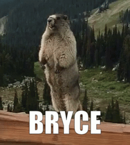 Ground Squirrel Standing With Bryce Name GIF