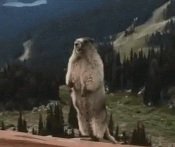 A Ground Squirrel Standing On Its Hind Legs With The Word Crystal Written On The Bottom GIF