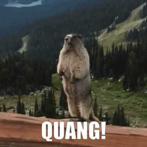 A Ground Squirrel Standing On Its Hind Legs With The Word Quang Behind It GIF