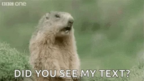A Groundhog Is Standing In The Grass With Its Mouth Open . GIF