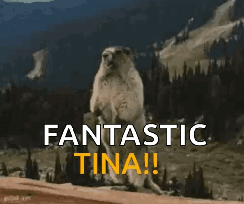 A Groundhog Is Standing On Its Hind Legs In Front Of A Mountain And The Words Fantastic Tina ! GIF