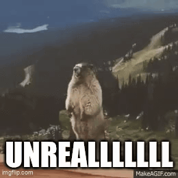 a groundhog is standing on its hind legs in front of a mountain with the words `` unreal '' written on the bottom .