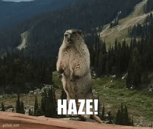 A Groundhog Is Standing On Its Hind Legs With The Word Haze Written On It GIF