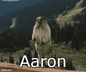 A Groundhog Standing On Its Hind Legs With The Name Aaron On It GIF