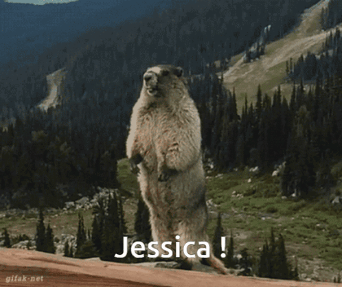 A Groundhog Standing On Its Hind Legs With The Name Jessica On The Bottom Right GIF