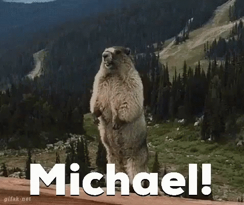 A Groundhog Standing On Its Hind Legs With The Name Michael Written In White GIF