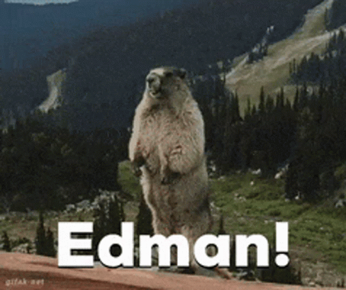 A Groundhog Standing On Its Hind Legs With The Word Edman Written Below It GIF