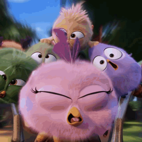 Group Of Angry Birds Including Pink Bird GIF