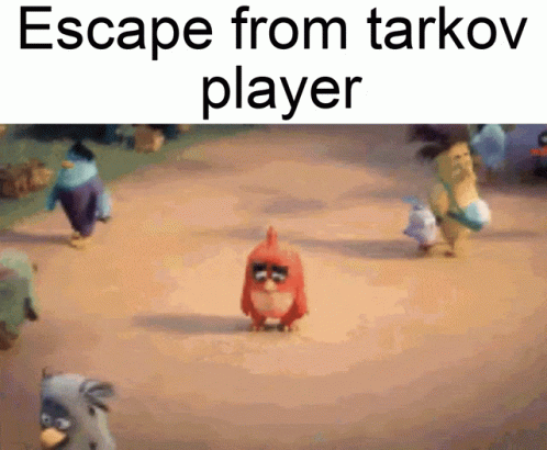 A Group Of Angry Birds Are Walking Down A Dirt Road With The Caption Escape From Tarkov Player GIF