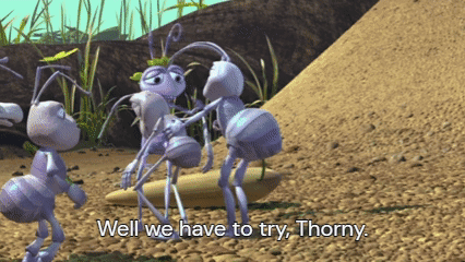 A Group Of Ants Are Standing In The Dirt And One Of Them Says " Well We Have To Try Thorny " GIF