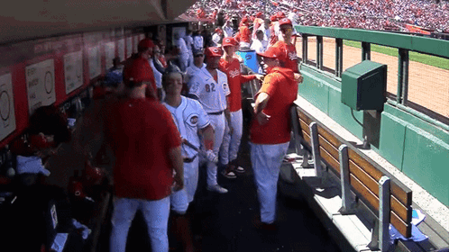 A Group Of Baseball Players Wearing Red Uniforms With The Number 82 On The Back GIF