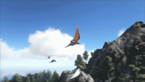 A Group Of Birds Are Flying Over A Rocky Cliff GIF
