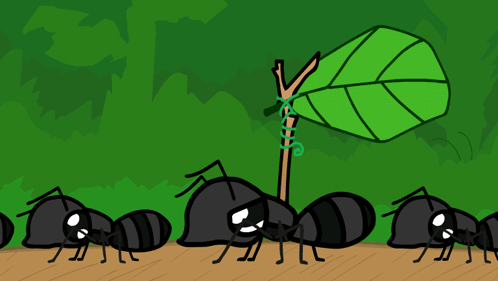 A Group Of Black Ants Are Standing Around A Green Plant GIF
