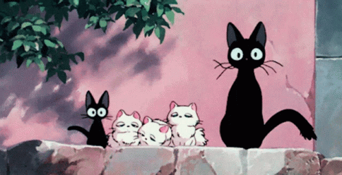 Black Cats And Kittens On Stone Wall GIF