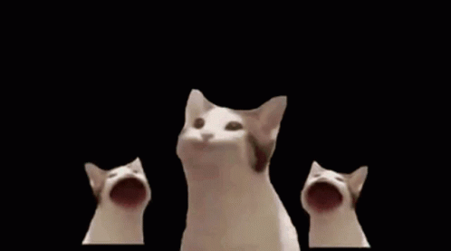 A Group Of Cats Are Standing Next To Each Other With Their Mouths Wide Open . GIF
