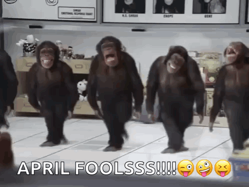 A Group Of Chimpanzees Are Walking In A Line And The Caption Says April Foolsss !!! GIF
