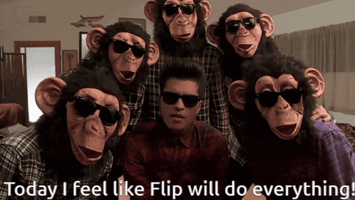 A Group Of Chimpanzees Wearing Sunglasses Are Posing For A Picture GIF