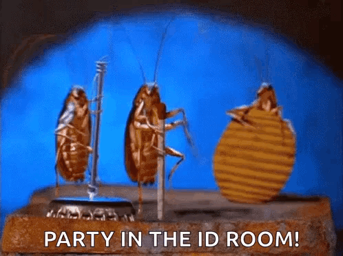 A Group Of Cockroaches Are Standing Next To Each Other On A Brick . GIF