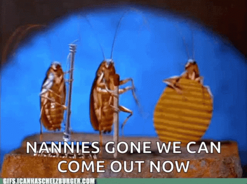 A Group Of Cockroaches Standing Next To Each Other With The Words Nannies Gone We Can Come Out Now GIF