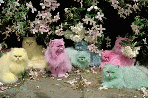 A Group Of Colorful Cats Are Sitting Under A Bush Of Flowers GIF