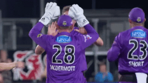 A Group Of Cricket Players Wearing Purple Uniforms With The Number 28 On The Back GIF