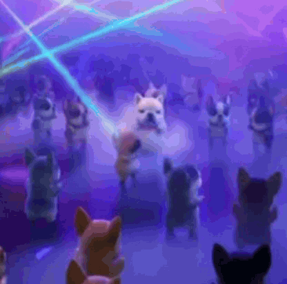 A Group Of Dogs Are Dancing In A Room With Purple Lights GIF
