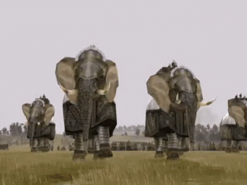 A Group Of Elephants Are Walking Through A Field . GIF