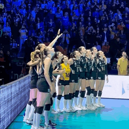 a group of female volleyball players standing on a court with one wearing a yellow jersey with the number 14 on it