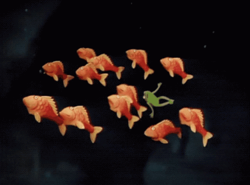 A Group Of Fish Are Swimming In A Dark Water GIF