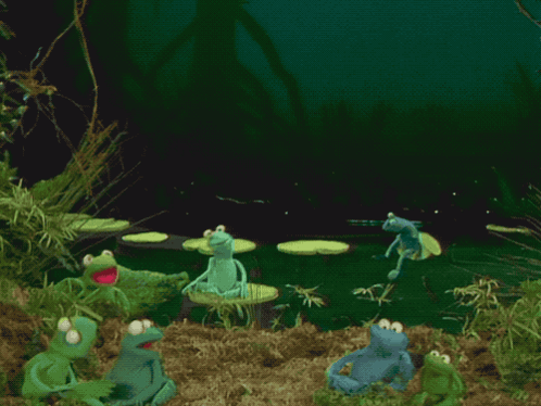 A Group Of Frogs Are Dancing In A Pond With A Frog In The Middle GIF