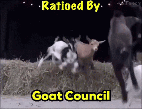 A Group Of Goats Standing Next To Each Other With The Words " Ratioed By Goat Council " On The Bottom GIF