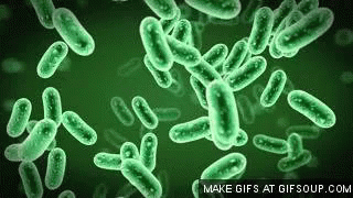 A Group Of Green Bacteria On A Green Background . GIF